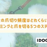 犬の爪切り頻度はどれくらい？タイミングと爪を切る5つのステップも解説