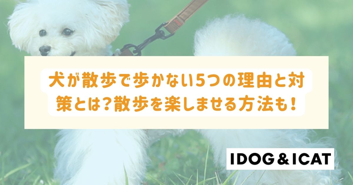 犬 ハーネス 歩か 販売 ない