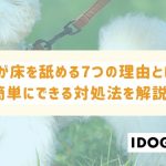 犬が床を舐める7つの理由とは？その心理と簡単にできる対処法を解説！