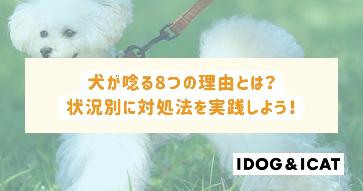 犬が唸る8つの理由とは？状況別に適した対処法を実践しよう！ – IDOG&ICAT