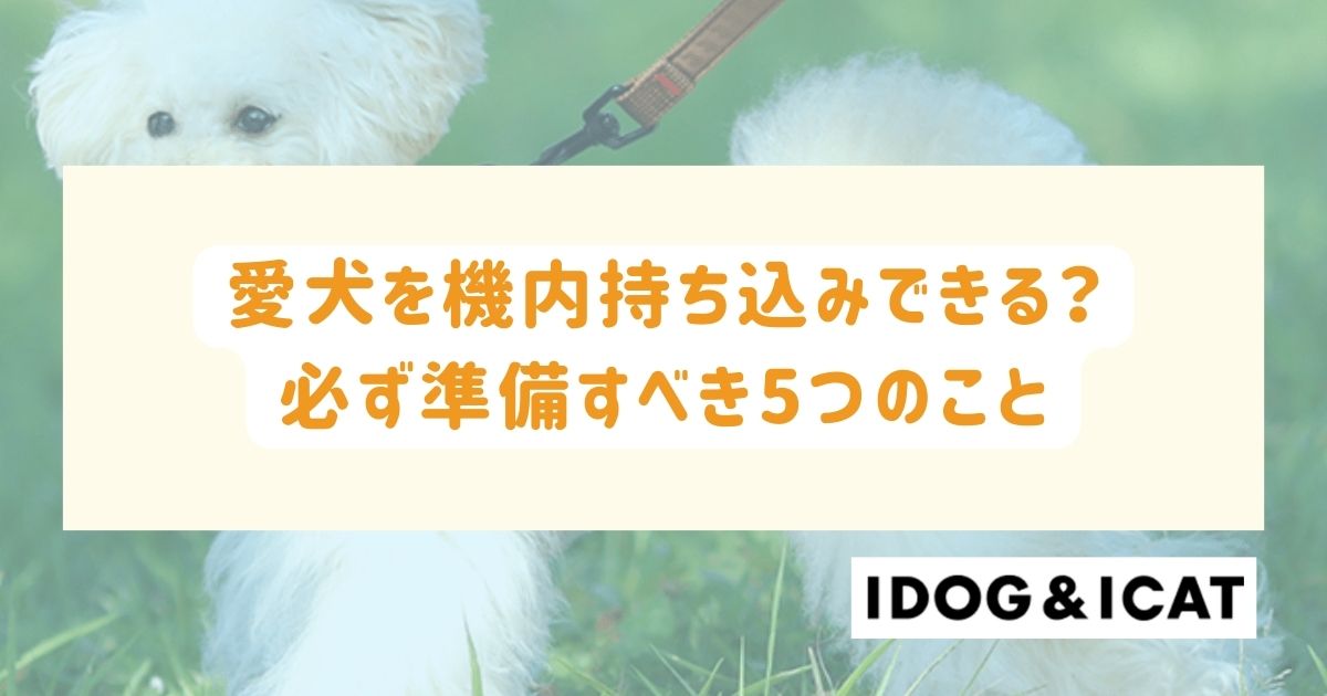 飛行機に愛犬を機内持ち込みできる？必ず準備すべき5つのこと – IDOG&ICAT