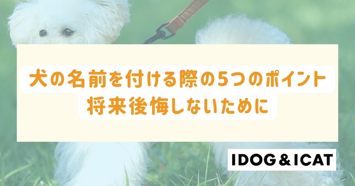 名前の付け方 販売 ペット