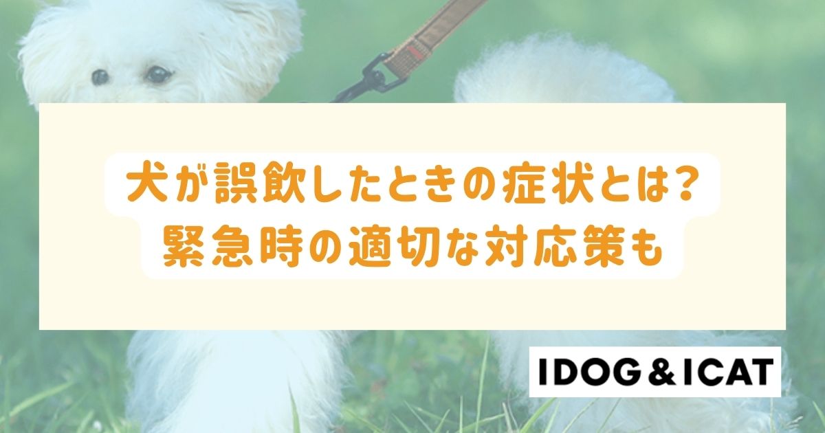 犬が誤飲したときの症状とは？緊急時における飼い主の適切な対応策も