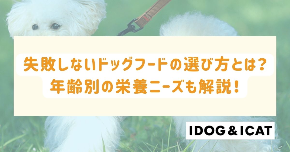 失敗しないドッグフードの選び方とは？年齢別の栄養ニーズも解説！