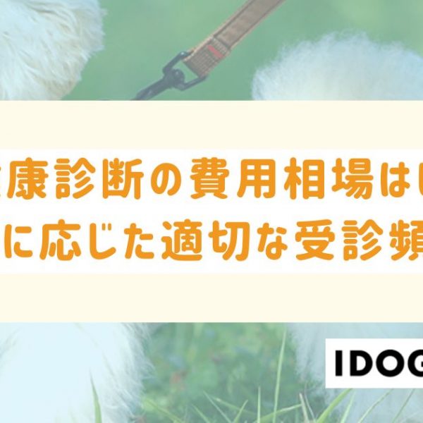 犬の健康診断の費用相場はいくら？愛犬に応じた適切な受診頻度も解説！