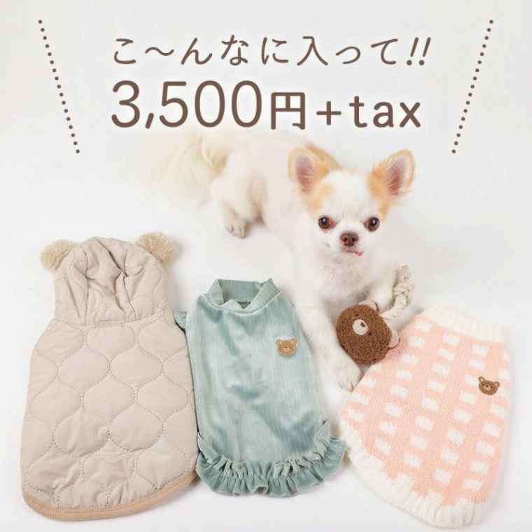 こーんなに入って3,500円+TAX