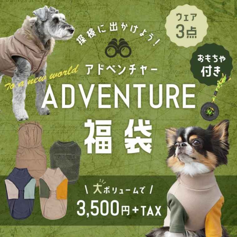 ADVENTURE福袋