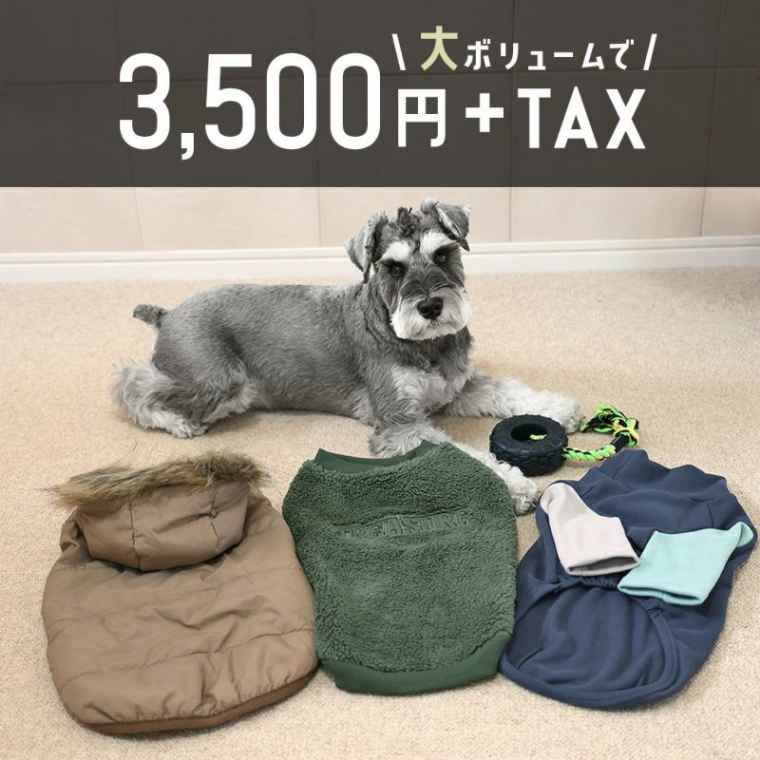 大ボリュームで3,500円+TAX