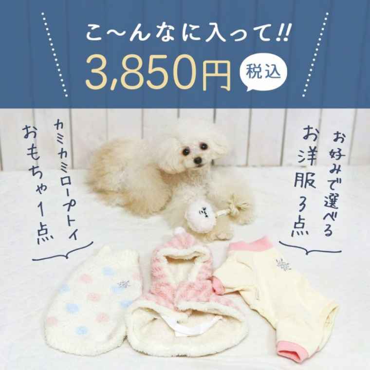 こーんなに入って3,850円