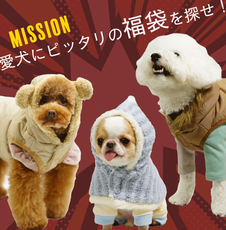 MISSION 愛犬にピッタリの福袋を探せ！