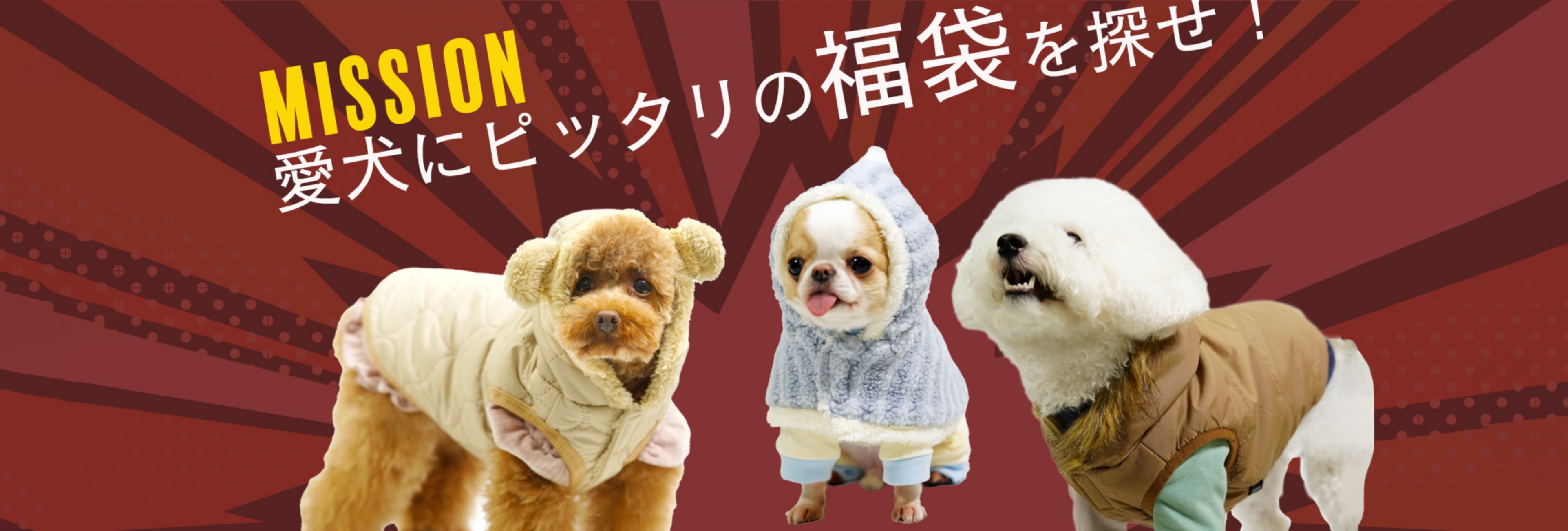 MISSION 愛犬にピッタリの福袋を探せ！