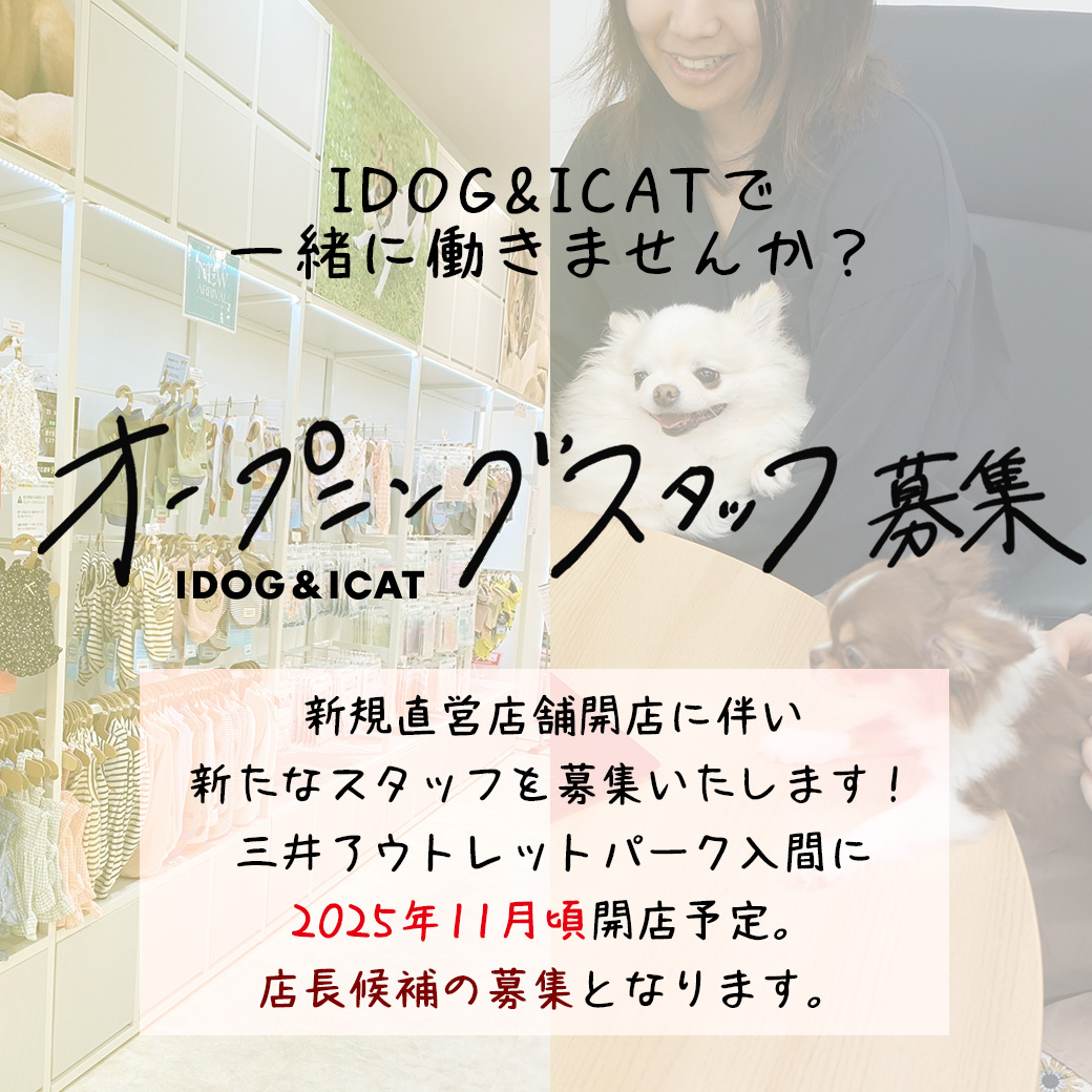 IDOG＆ICATオープニングスタッフ募集中