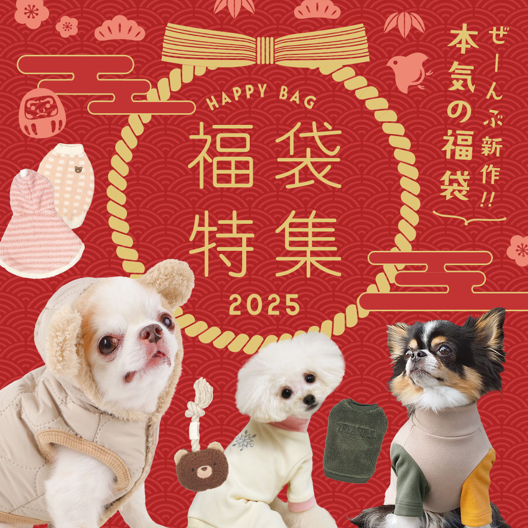 IDOG&ICAT福袋特集