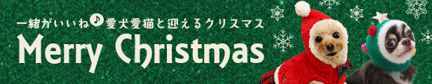 クリスマス