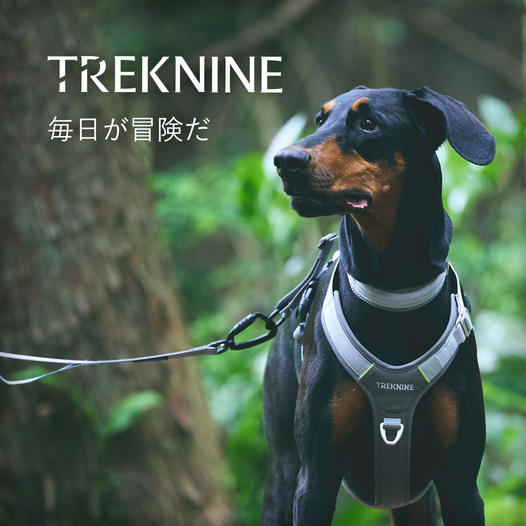 TREKNINE トレックナイン