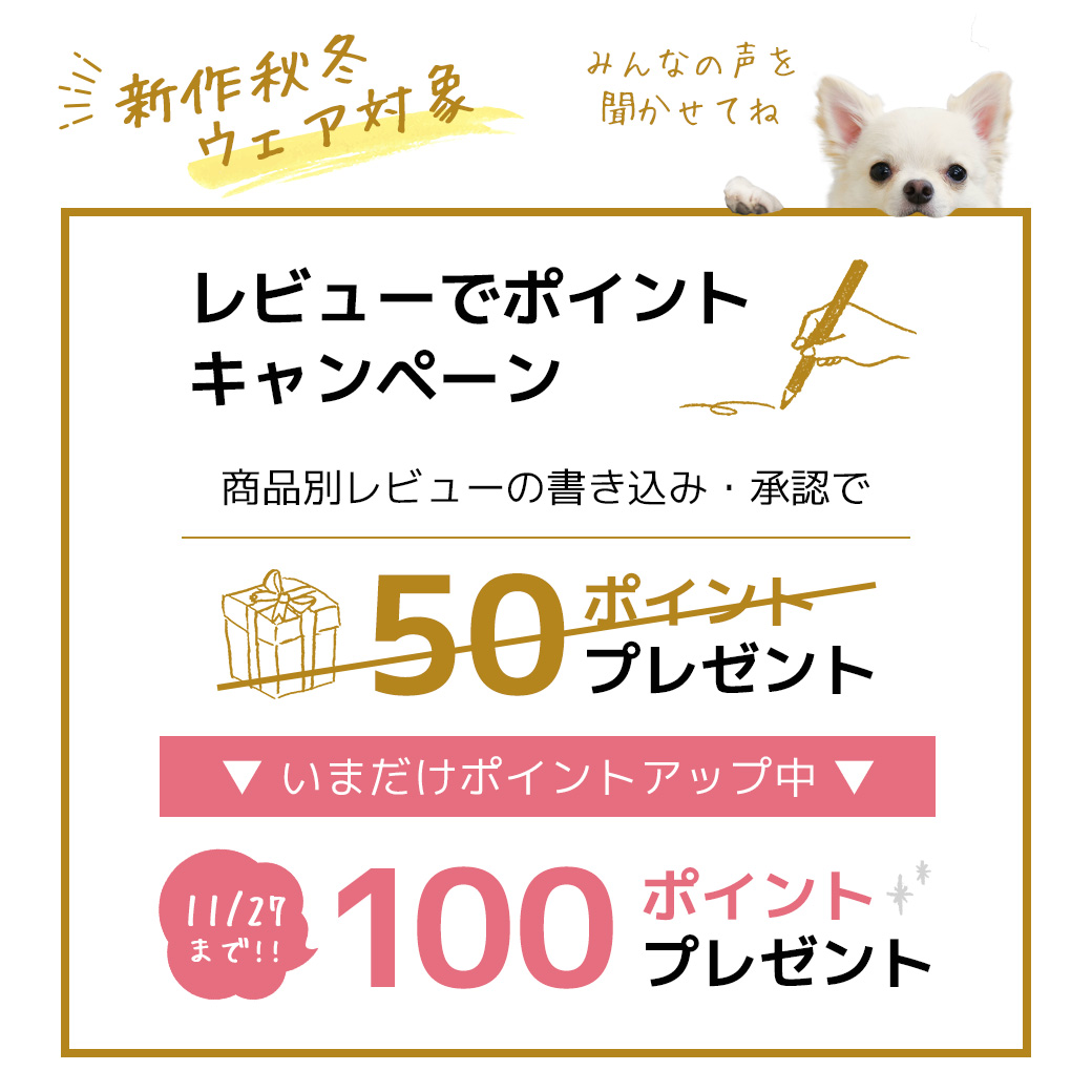 レビューで100ポイントアップキャンペーン