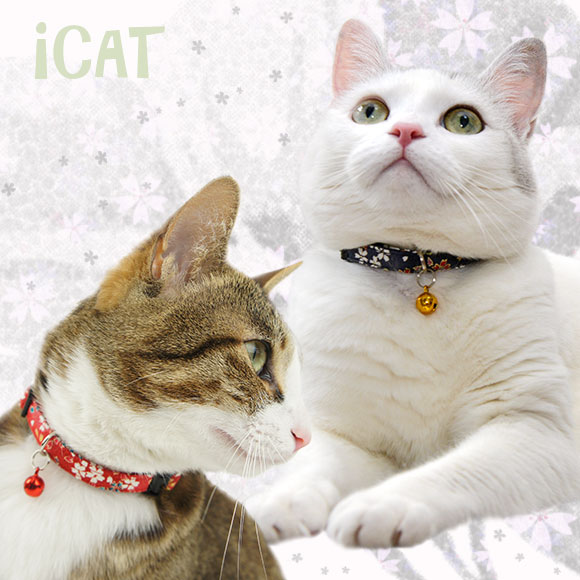 iDog＆iCat本店】iCat アイキャット カジュアルカラー 和柄 しだれ桜