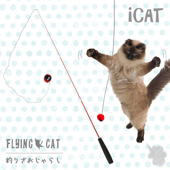 Idog Icat本店 Icat Flying Cat 釣りざお猫じゃらし てんとう虫ボール 犬猫ペット用品通販のidog Icat ペット 猫 ねこじゃらし