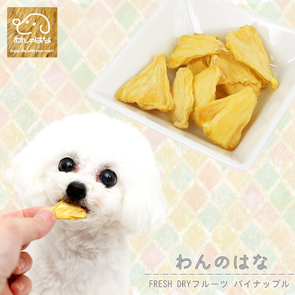 Idog Icat本店 わんのはな Fresh Dryフルーツ パイナップル 犬猫ペット用品通販のidog Icat ペット 犬 ごはん