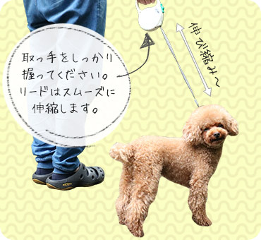 Idog Icat本店 Idog 3m Free Walk 伸縮リード スティップリングスター 犬猫ペット用品通販のidog Icat ペット 犬 首輪