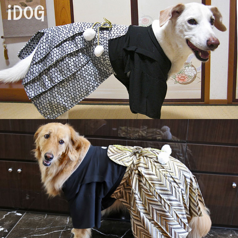 Idog Icat本店 犬 服 着物 Idog 愛犬用袴 中大型犬用 家紋付袴 アイドッグ