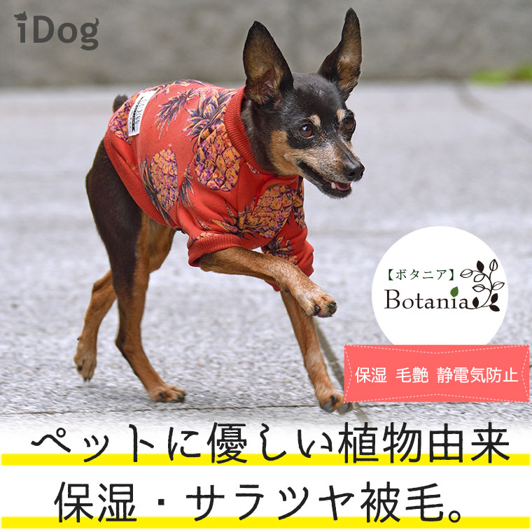 Idog Icat本店 Idog Botania ぬくぬくパイナップルトレーナー アイドッグ 犬猫ペット用品通販のidog Icat ペット 犬 洋服