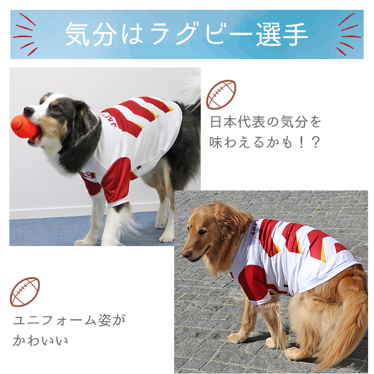 Idog Icat本店 Idog 中大型犬用 ラグビーユニフォーム アイドッグ 犬猫ペット用品