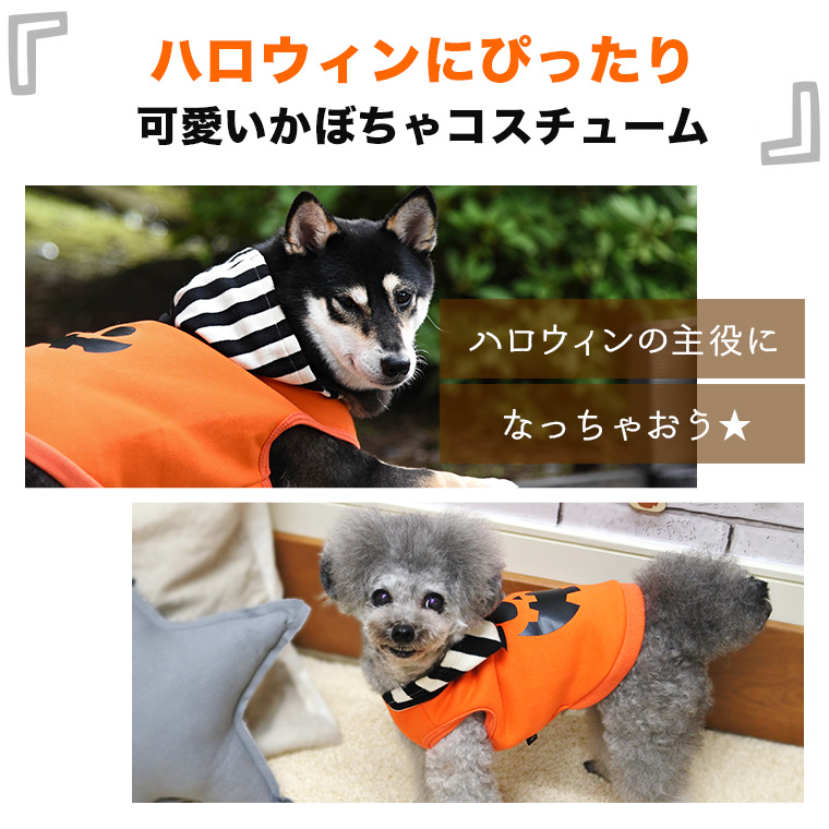 Idog Icat本店 Idog ハロウィンパンプキンパーカー 犬猫ペット用品通販のidog Icat ペット 犬 洋服