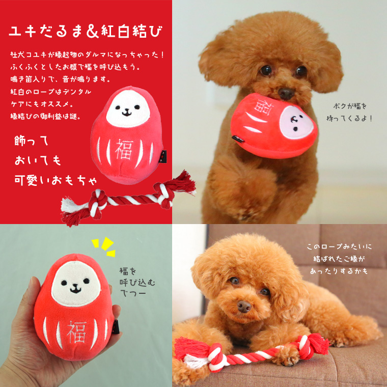 Idog Icat本店 Idog わんこのおもちゃ福袋 アイドッグ 犬猫ペット用品通販のidog Icat ペット 犬 おもちゃ