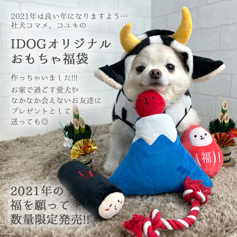 Idog Icat本店 Idog わんこのおもちゃ福袋 アイドッグ 犬猫ペット用品通販のidog Icat ペット 犬 おもちゃ