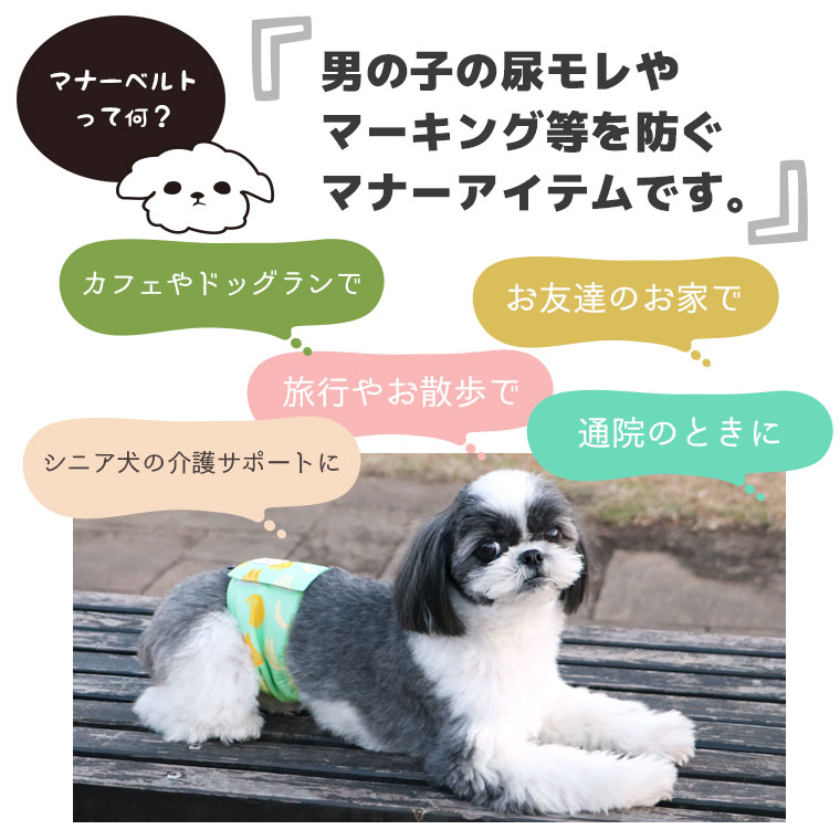 Idog マナーバンド オリジナルパターン パイル アイドッグ 犬猫ペット用品通販のidog Icat ペット 犬 服