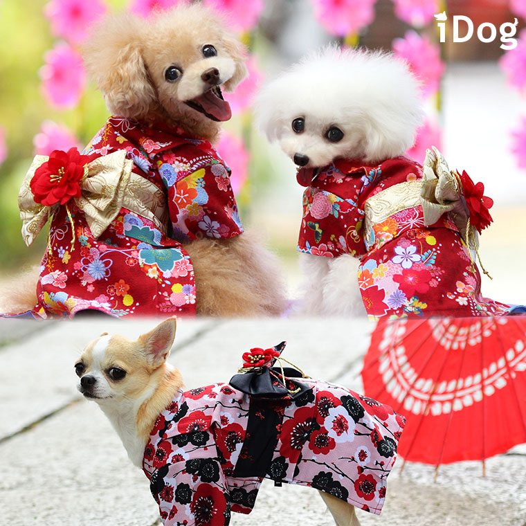 Idog 愛犬用着物 アイドッグ 犬猫ペット用品通販 Idog Icat ペット 犬 服