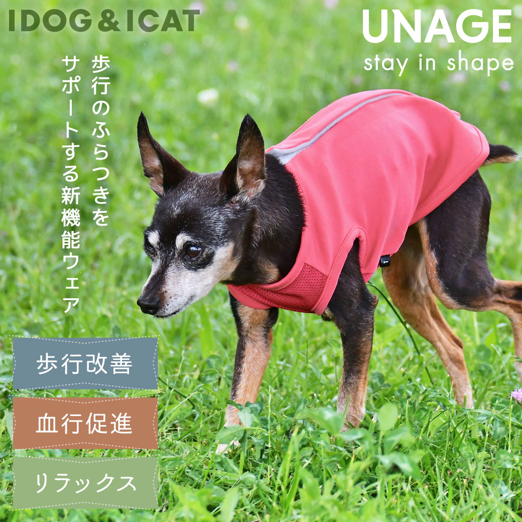 idog 犬服タンクトップ XL ドッグウェア ペットウェア 売れ筋がひ