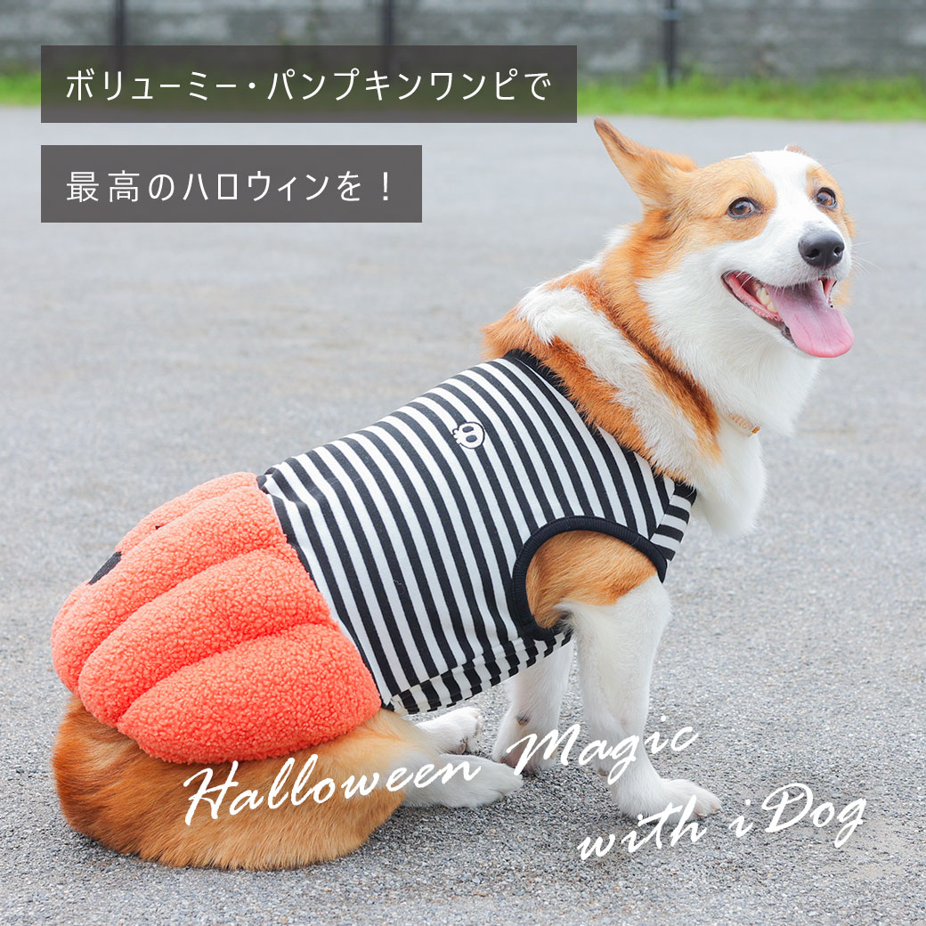 スカート ワンピ ドレス フリル 犬 服 iDog パンプキンワンピ アイドッグ 犬の服 犬服