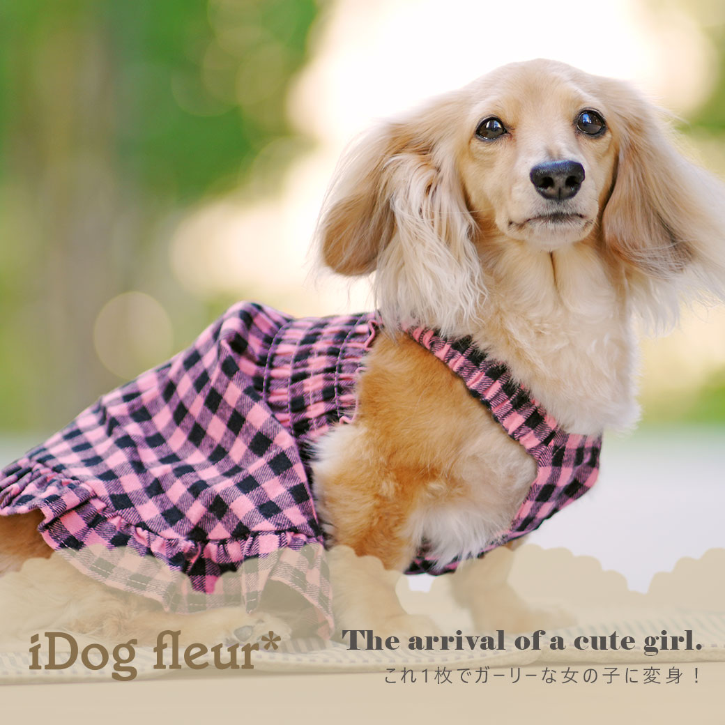 スカート ワンピ ドレス フリル 犬 服 iDog ギャザーフリルワンピ iDog fleur アイドッグ 犬の服 犬服