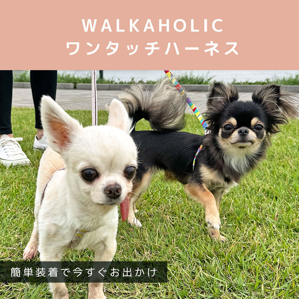 犬 ハーネス iDog WALKA HOLIC ワンタッチハーネス アイドッグ 犬のハーネス