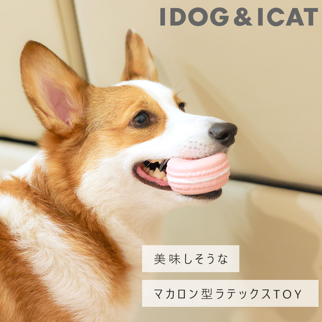 犬 おもちゃ iDog ラテックスTOY マカロン アイドッグ ラテックス ゴム ラバー 犬のおもちゃ