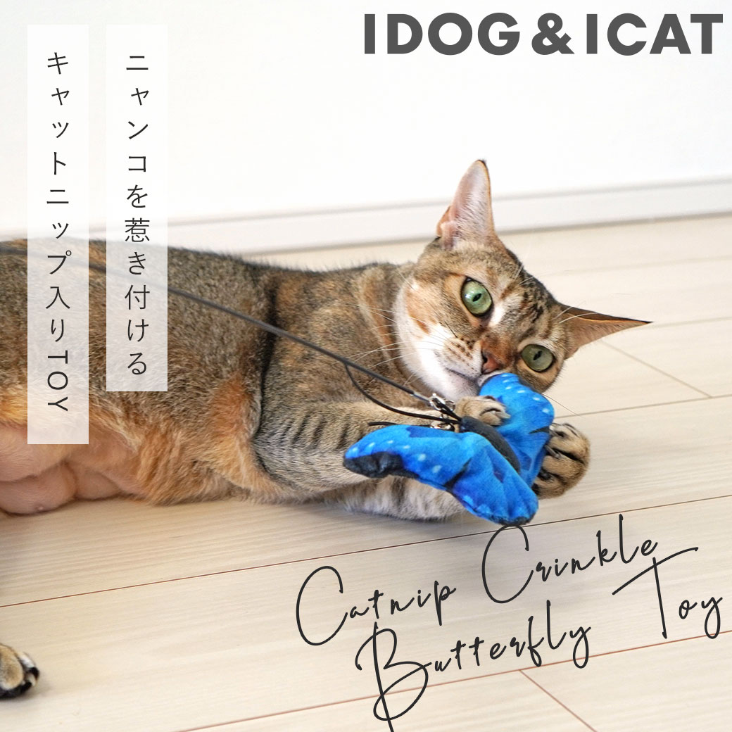 猫 おもちゃ iCat ちょうちょ カシャカシャとキャットニップ入り アイキャット ねこじゃらし 猫のおもちゃ