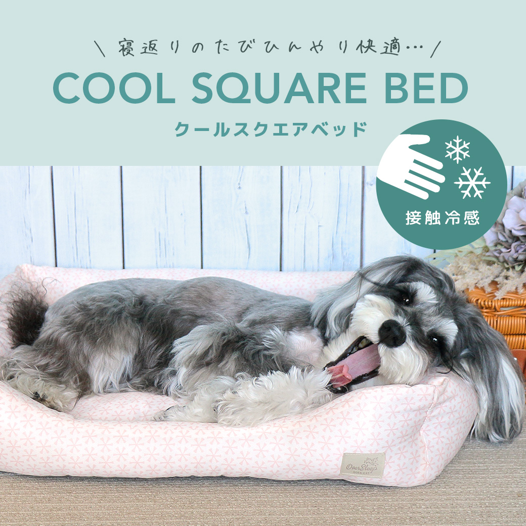 犬 猫 ベッド IDOG&ICAT クールスクエアベッド 接触冷感 抗菌 防臭 アイドッグ ベッド クッション マット ソファ カドラー