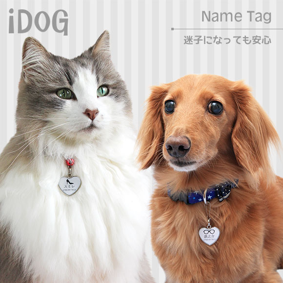 Idog Icat本店 Idog Icat ネームタグ 迷子札ハート型 モノクロ 犬猫ペット用品通販のidog Icat ペット 犬 ネームタグ