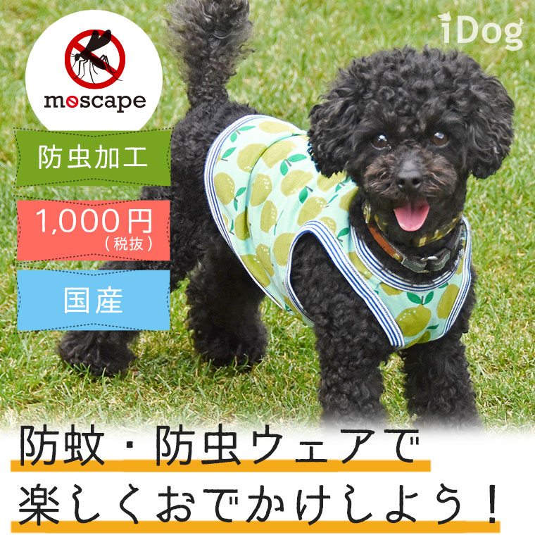 Idog Icat本店 Idog レモンランニングmoscape アイドッグ 犬猫ペット用品通販のidog Icat ペット 犬 服