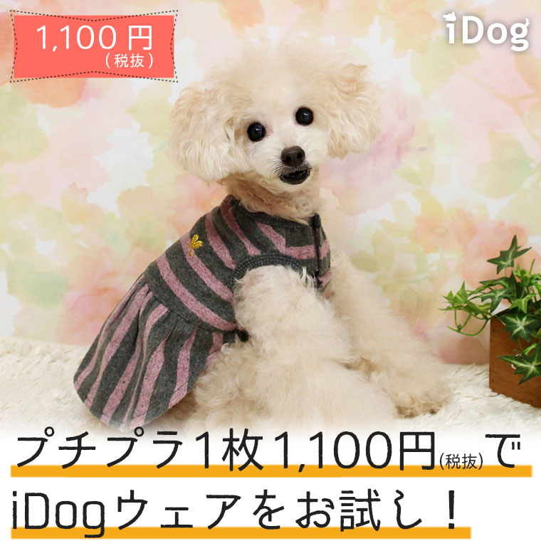 Idog Icat本店 Idog デイリーワンピ 犬猫ペット用品通販のidog Icat ペッ