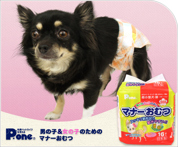 Idog Icat本店 第一衛材 男の子 女の子のためのマナーおむつ 犬猫ペット用品通販のidog Icat ペット 犬 トイレ用品